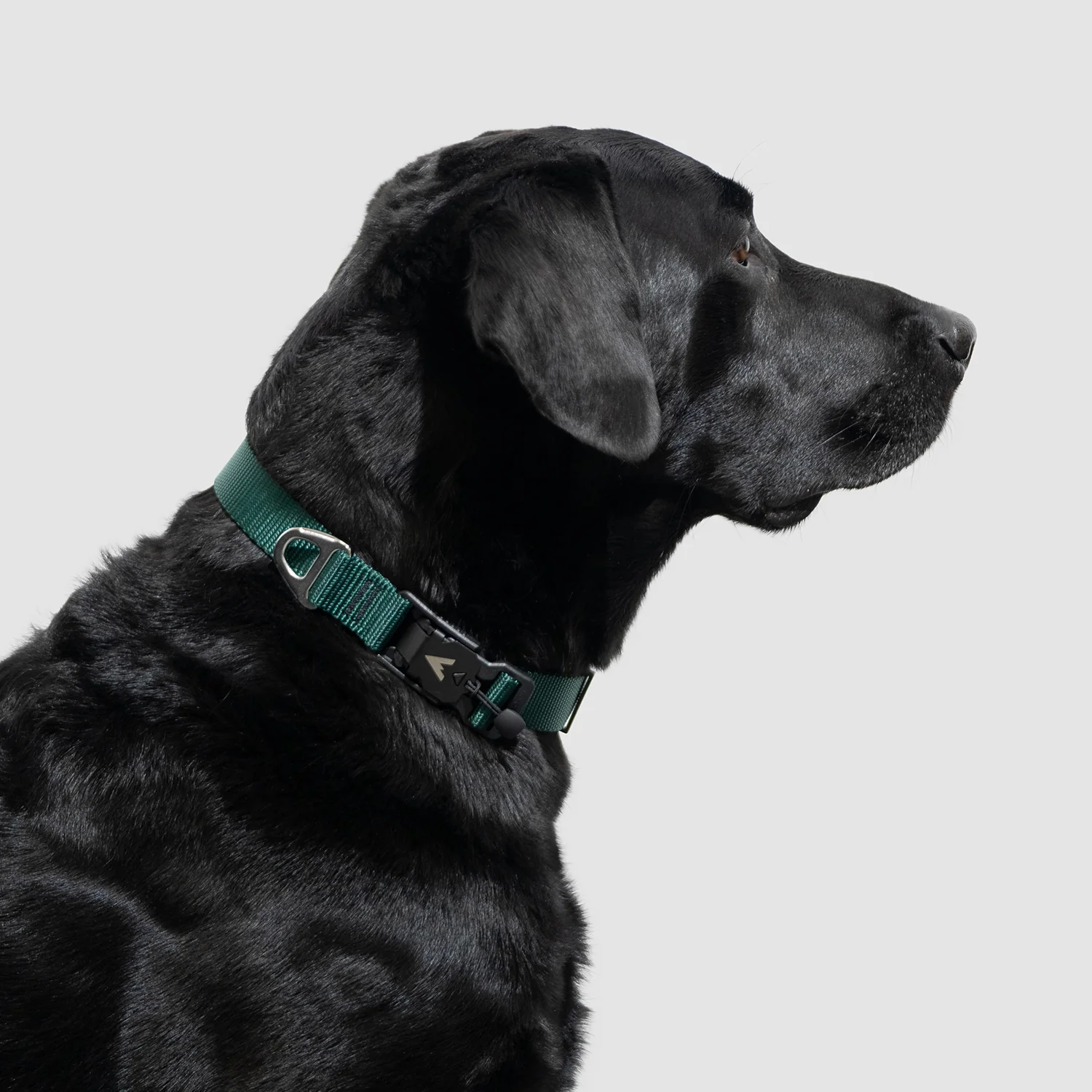 Lifetime Lite Collar - Image 4