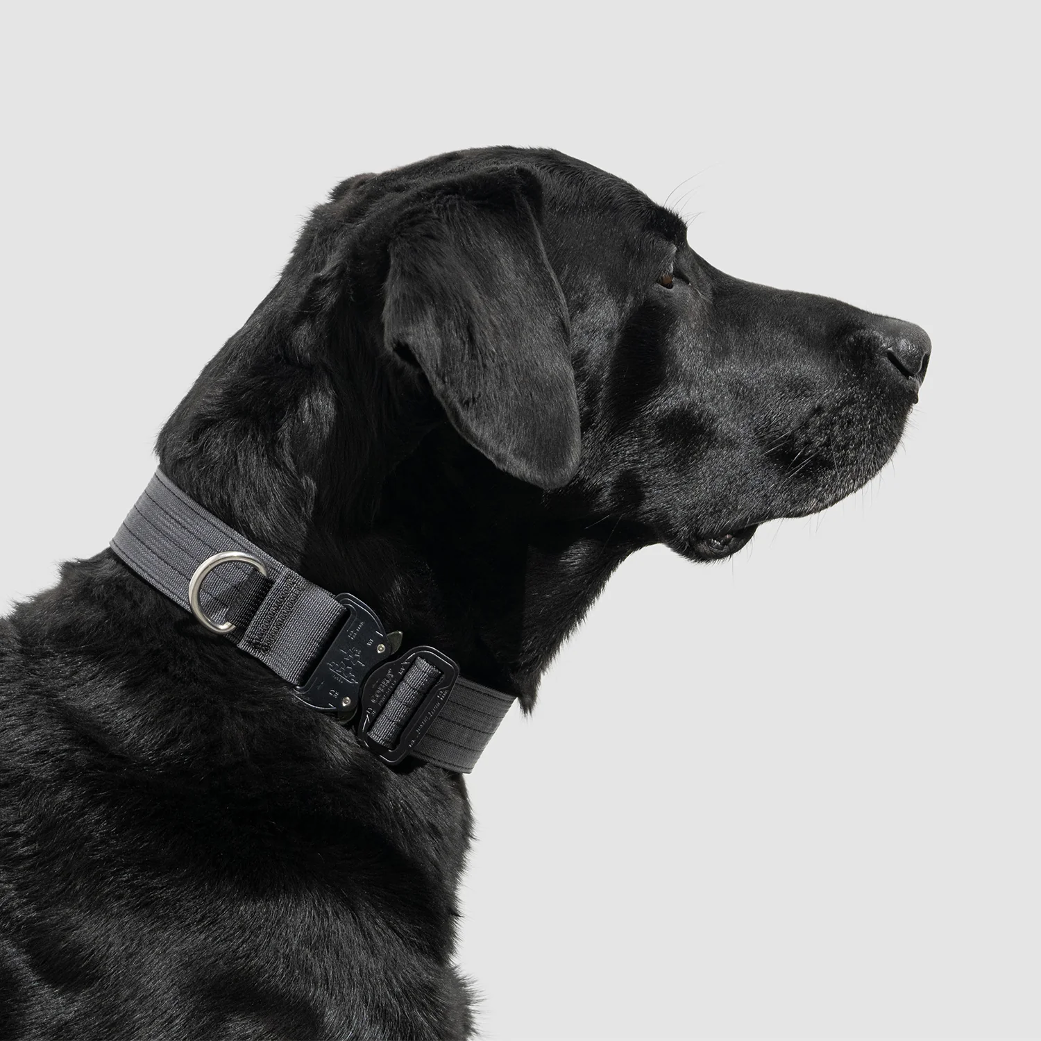 Lifetime Pro Collar - Image 11