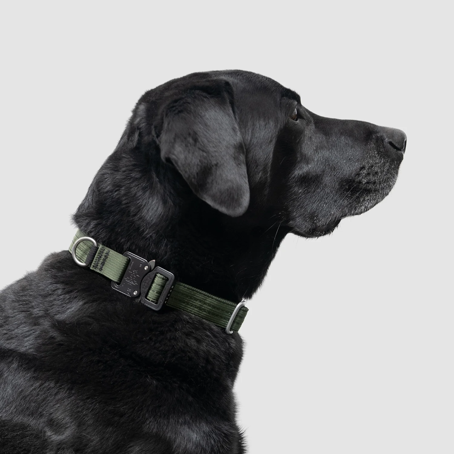 Lifetime Pro Collar - Image 21