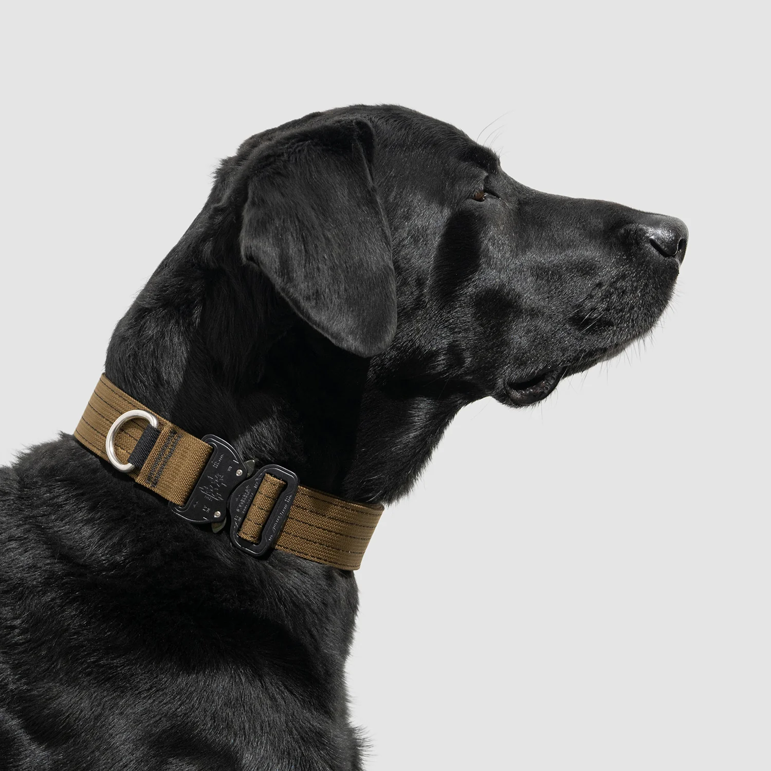 Lifetime Pro Collar - Image 25