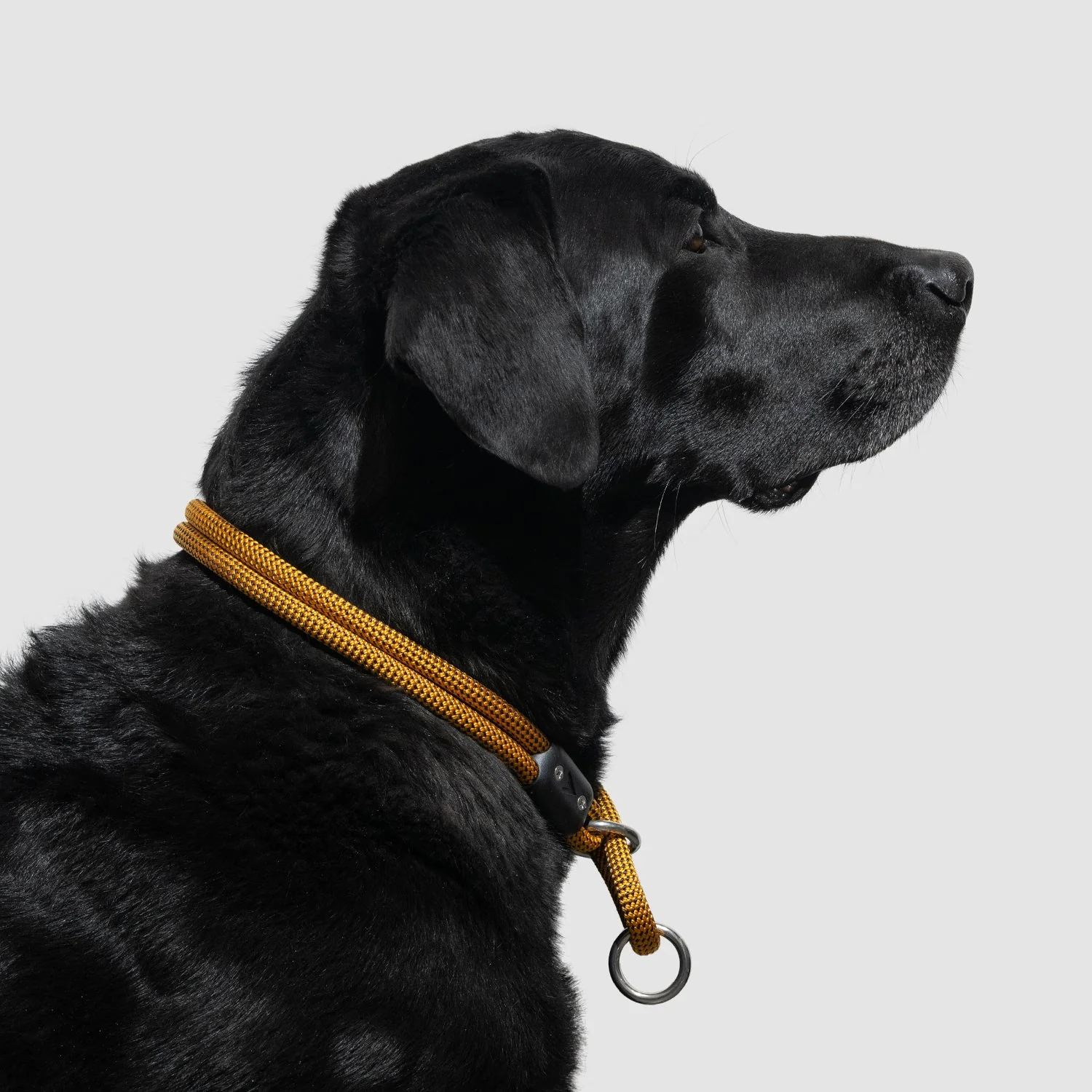 Lifetime Slip Collar - Image 12