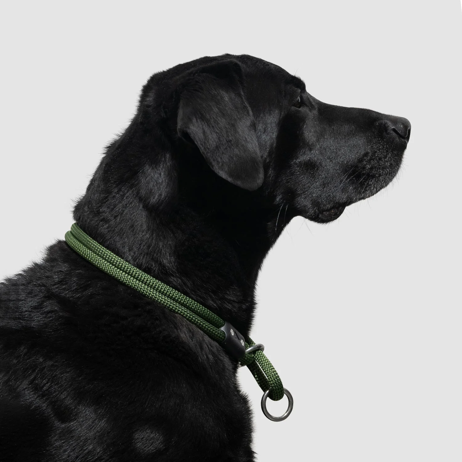 Lifetime Slip Collar - Image 14